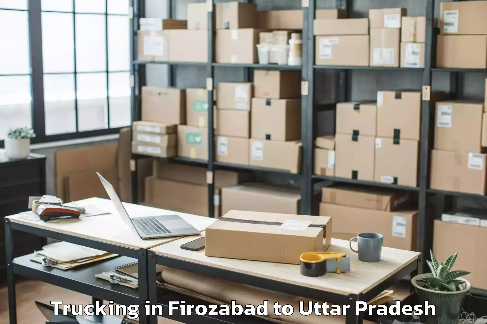 Book Firozabad to Atraulia Trucking